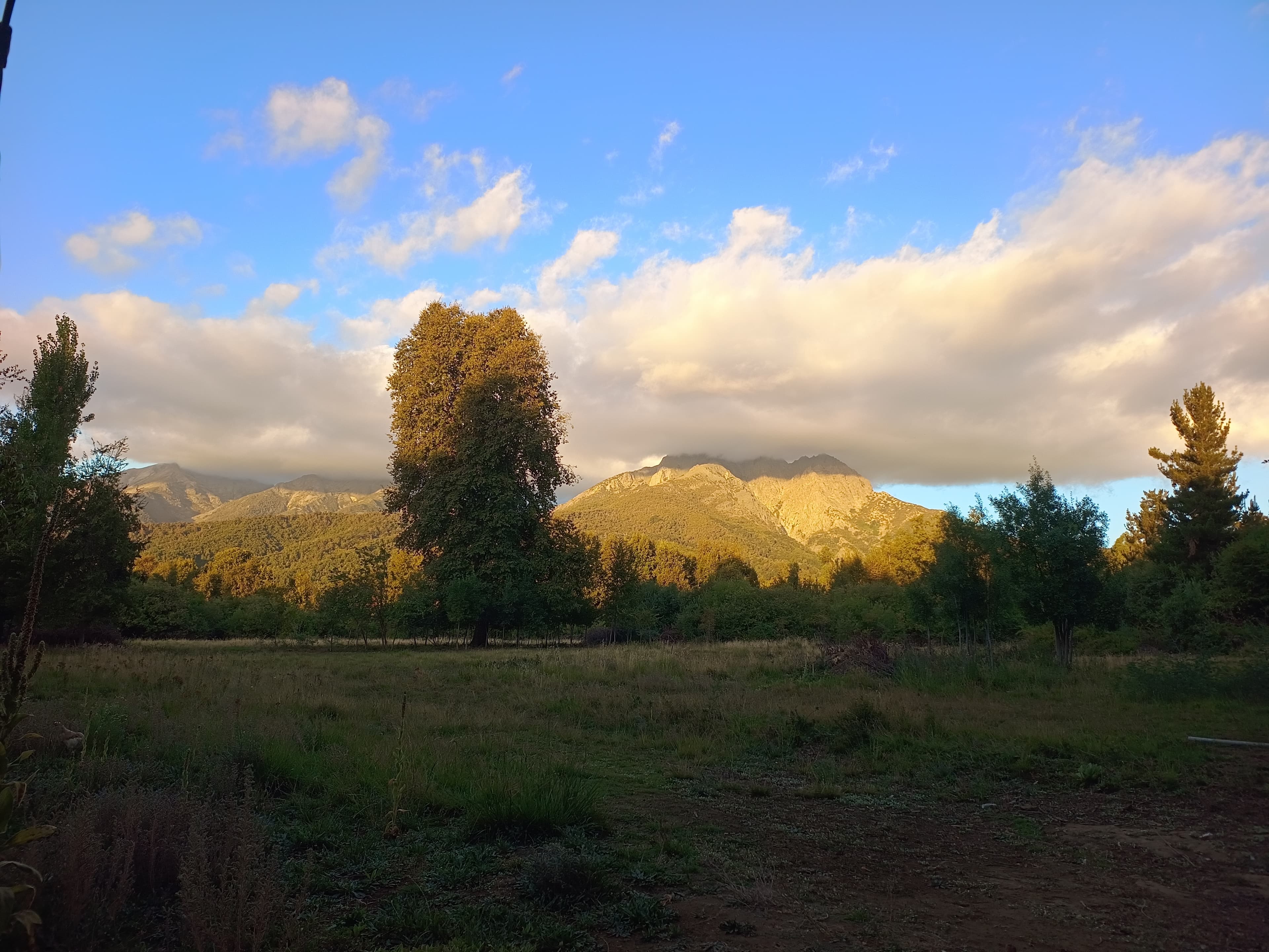 Vilches Alto, Región del Maule
